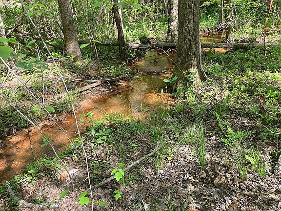 3rd image of 235 Griswoldville Short Cut