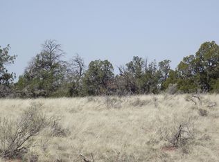 288 S Silver Oaks Dr #304, Williams, AZ 86046