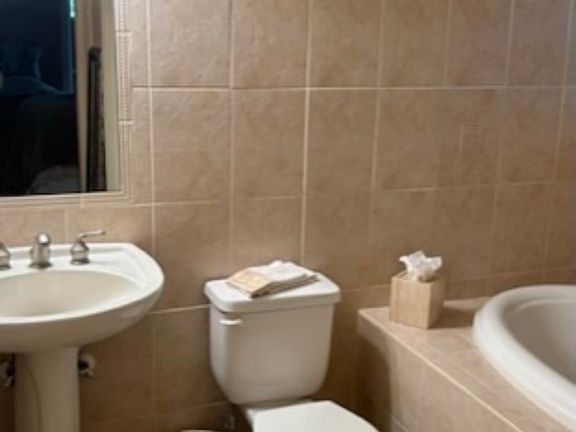 Downstairs bathroom with jacuzzi tub and jets