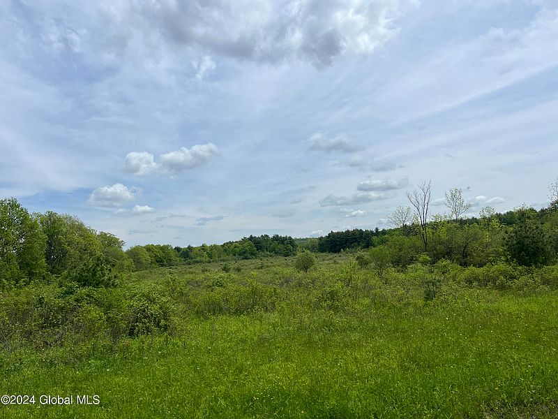 3rd image of 0 Klemme Road