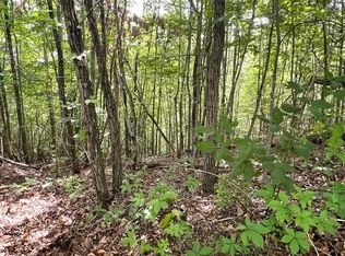 0 Red Hill Rd, Bryson City, NC 28713