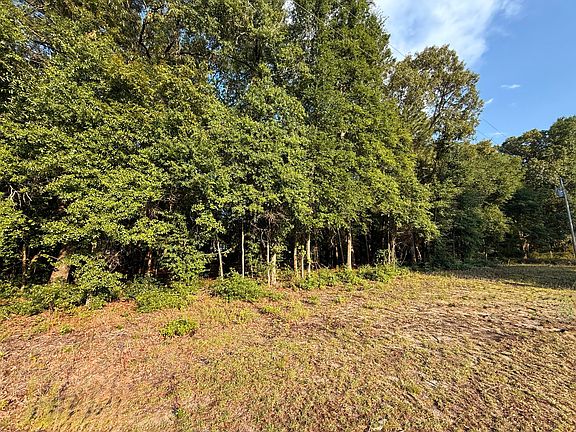2nd image of 100 Triangle Dr