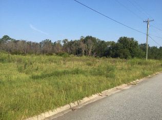 47 Persimmon Blvd NE, Ludowici, GA 31316