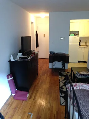 Rented by Eric Goodman Realty Corp | media 17