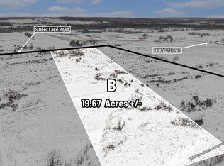 B S Deer Lake Rd, Reed City, MI 49677