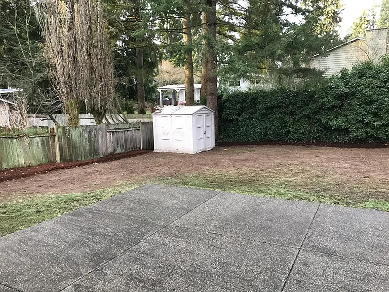 Back Yard and Shet