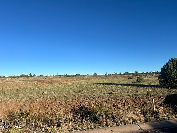 3rd image of 1081 S Ridgeway Pl