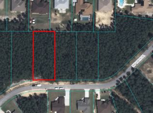 Xxx Sw 106th Pl, Ocala, FL 34476