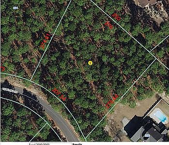 2nd image of 302 Yearling Dr