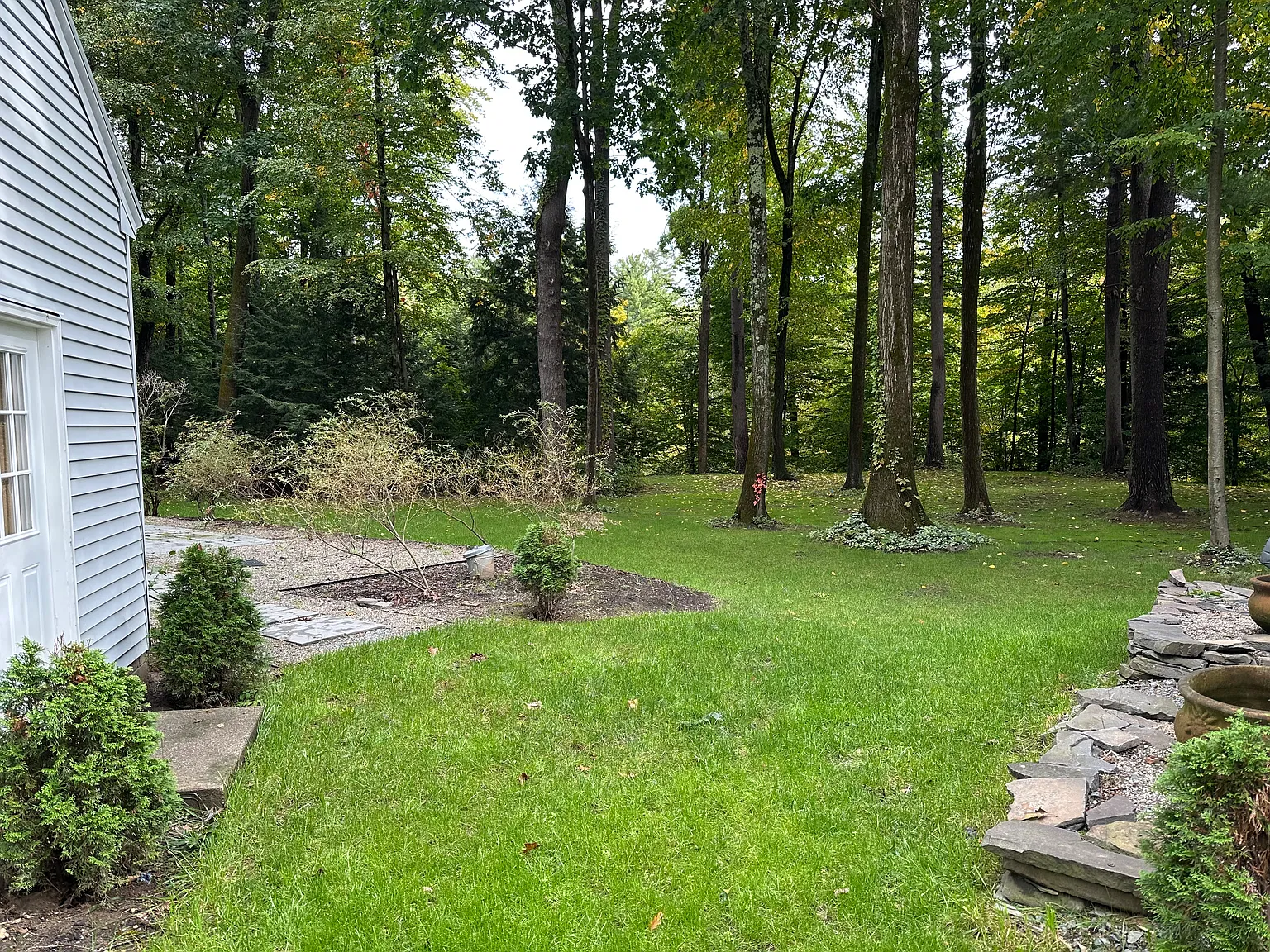 5 bed, 2.5 bath, 2732 sqft, $3,700 — Photo 3