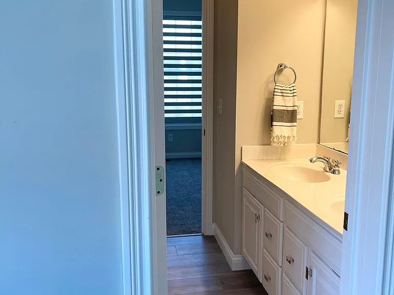 10650 Sunnys Halo Ct — Photo 14