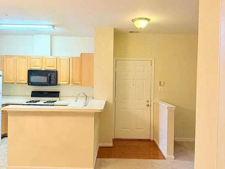 4137 Fountainside Ln #201 — Photo 6