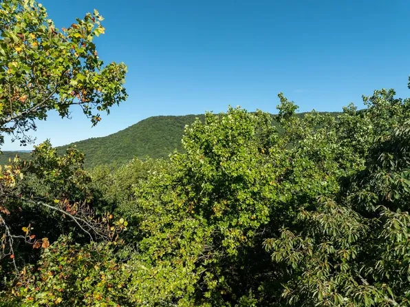 LOT 3 Wilderness Way Lot 3, Ellijay, GA 30536