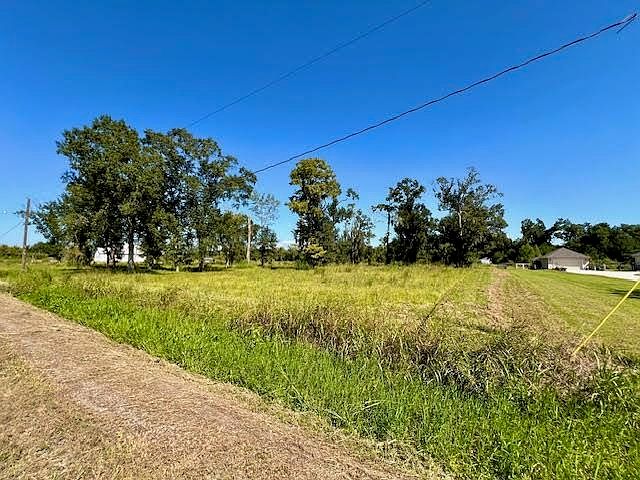 2nd image of 248 Chisholm Trl