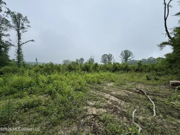 W Gallatin St, Hazlehurst, MS 39083