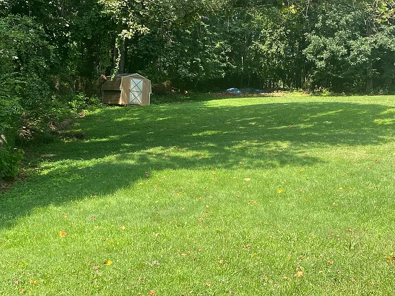 Private backyard with shed