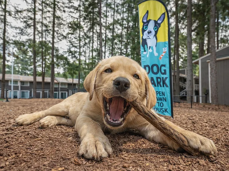 Leash-Free Dog Park at Keystone at Fayetteville, NC