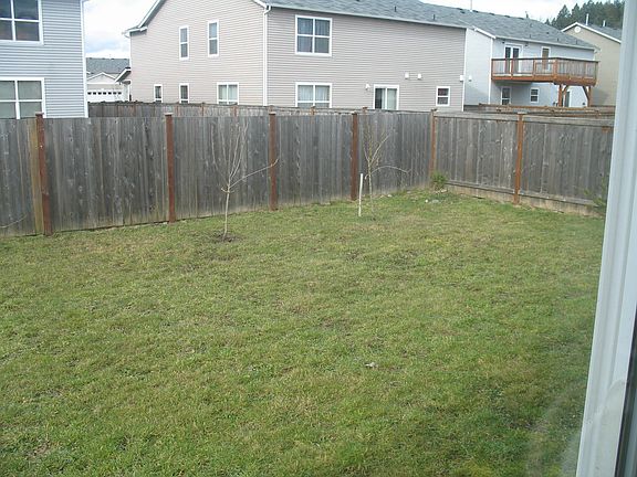 fenced back yard