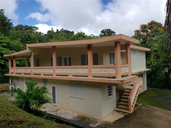 Ausubo St, Orocovis, PR 00720