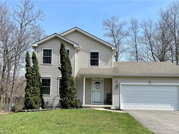 6003 Dover Rd, Lake View, NY 14085