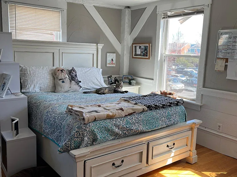 24 Lynde St #4 — Photo 9