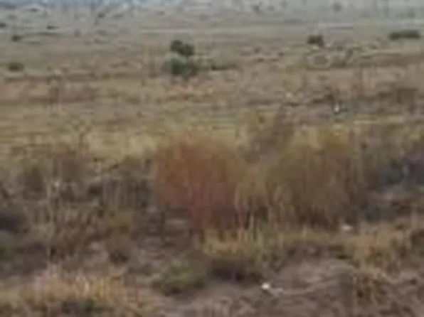 Pinon Trl, Magdalena, NM 87825