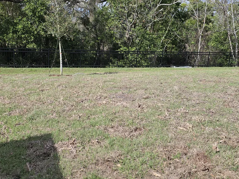20248 Lavender Bloom Loop — Photo 17