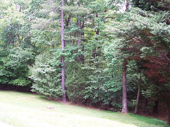 3rd image of 905 Coffey Ave
