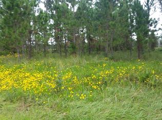 Royal Trails Rd, Eustis, FL 32736