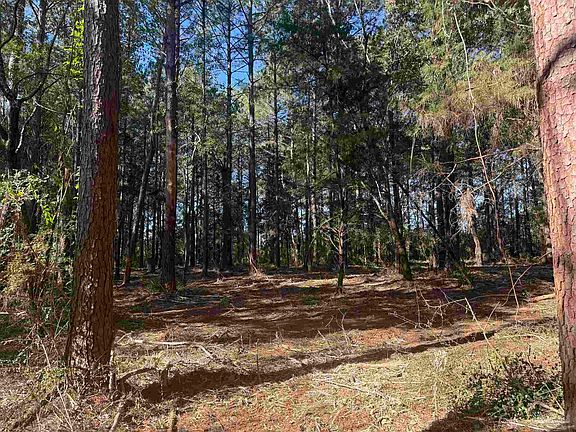 5th image of LOT 8 Rockaway Creek Rd