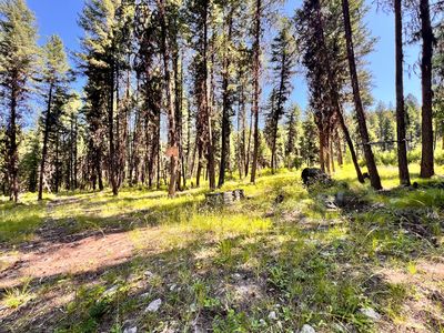 40 Excelsior Way, Curlew, WA, 99118
