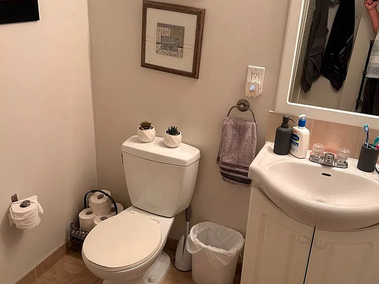 31 Everingham Cir #BASEMENT — Photo 11