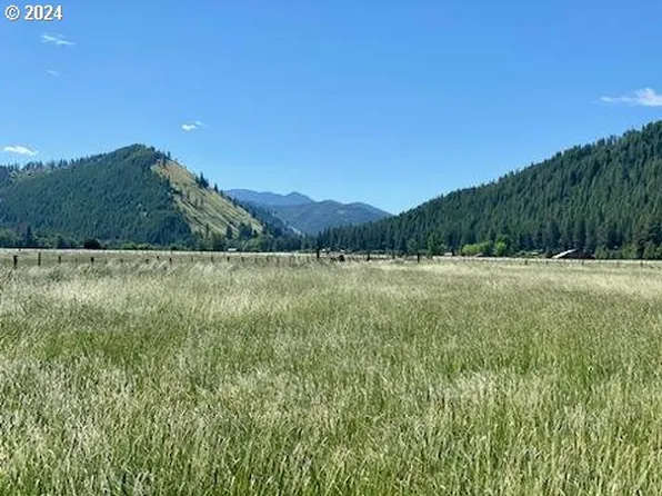 75275 Upper Diamond Ln, Wallowa, OR 97885