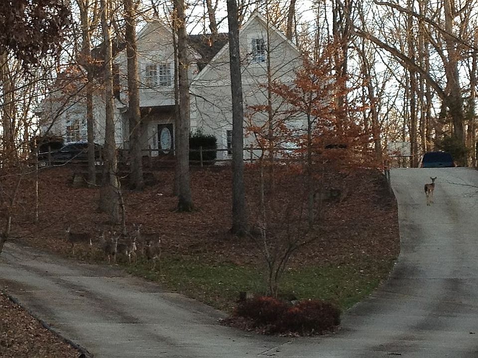 Front View with Deers