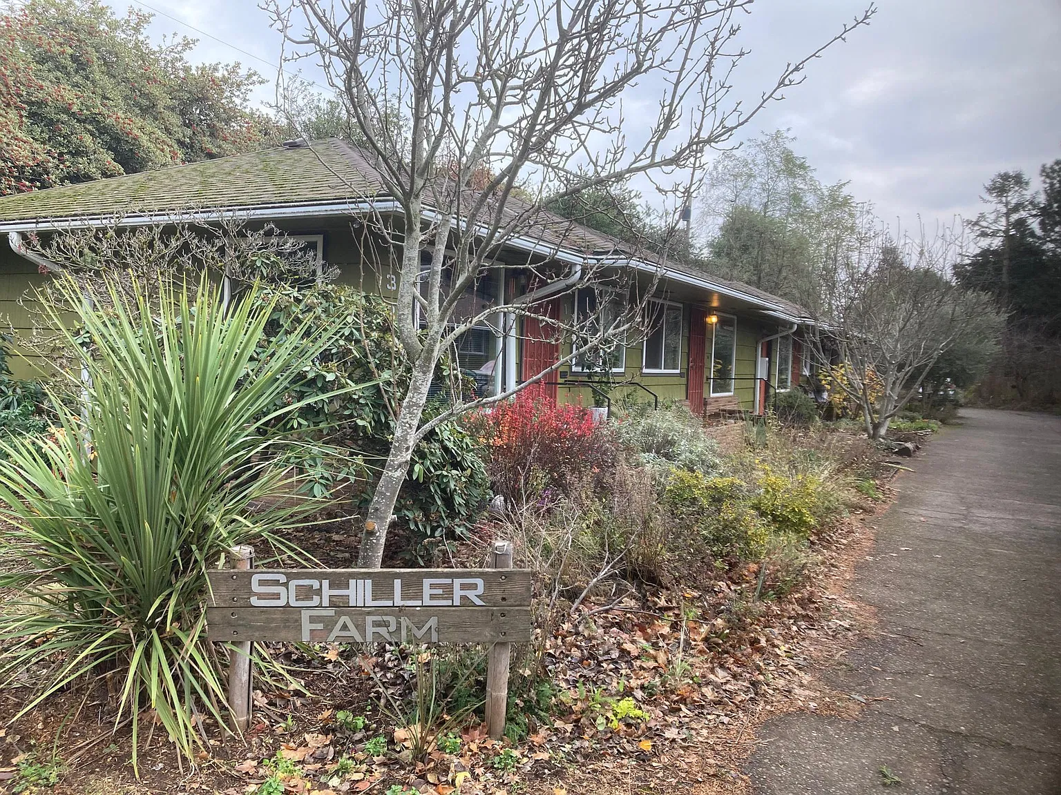 1 bed, 650 sqft, $1,425 — Photo 1