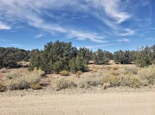 75 County Road 5064, Concho, AZ 85924