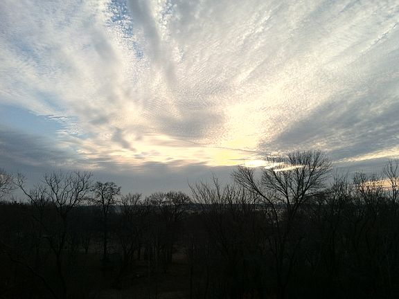 View from the picture window