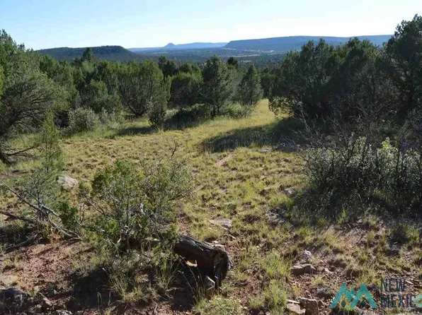 42/AC Cedar Hill Rd, Las Vegas, NM 87701