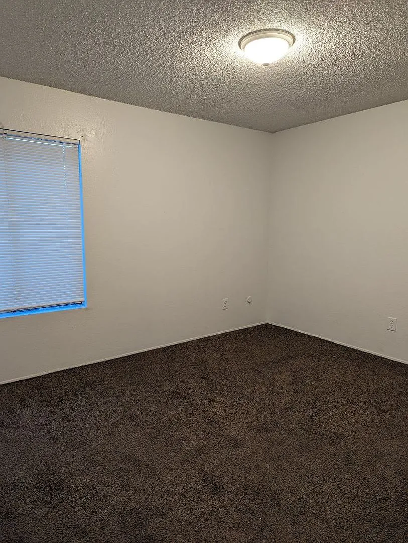 072- 4413 Isla Verde Street — Photo 3