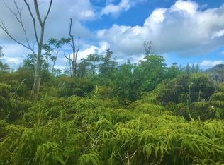 Beach Rd LOT 3069, Keaau, HI 96749