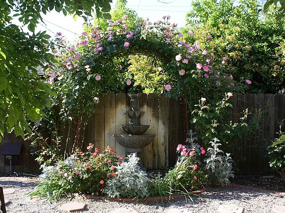 Rose Trellis and Fountain