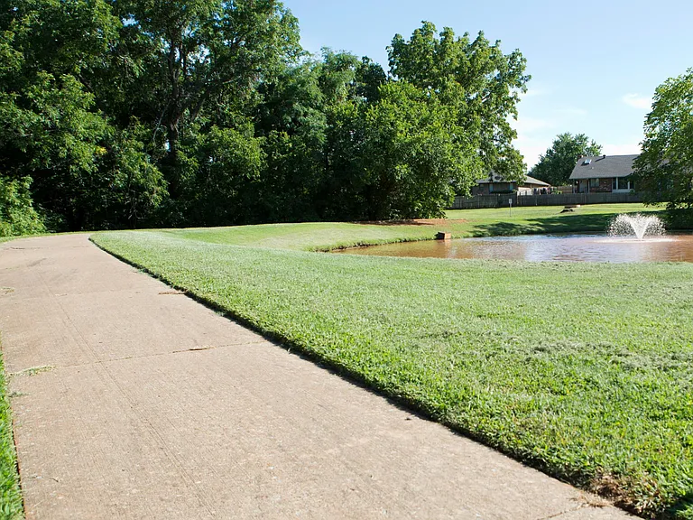 Trail and Pond