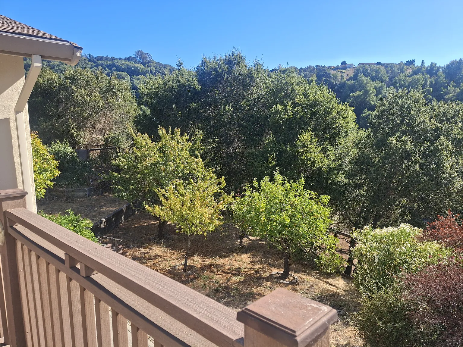 3206 Estates Ave — Photo 4