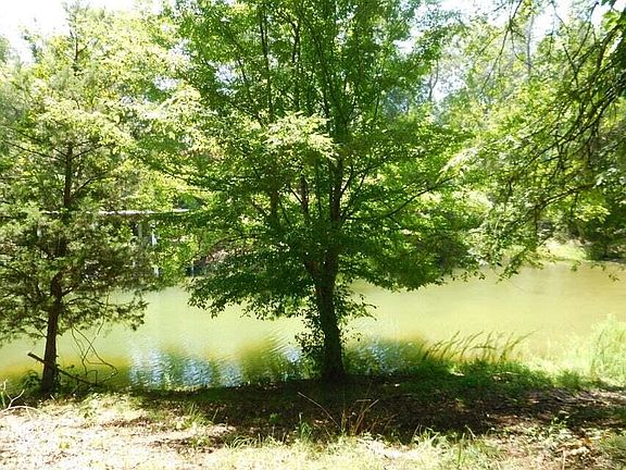 4th image of 1475 Scenic Lakeview Dr
