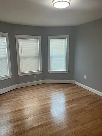 220 Pearl St #2 — Photo 4