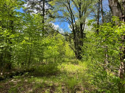 0 Bragg Hill Road #3, Waitsfield, VT, 05673
