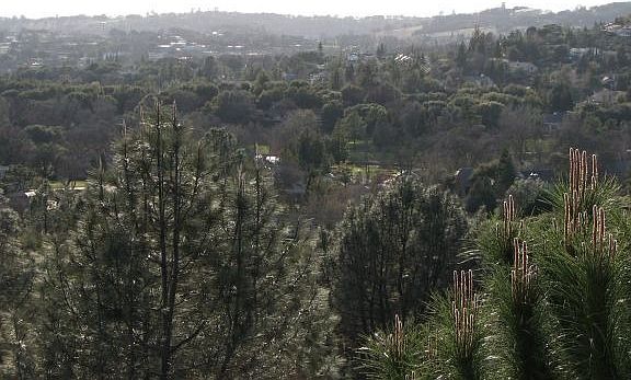View from front deck and living room