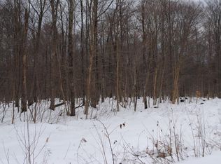 137 Maple Ridge Rd, Redfield, NY 13437