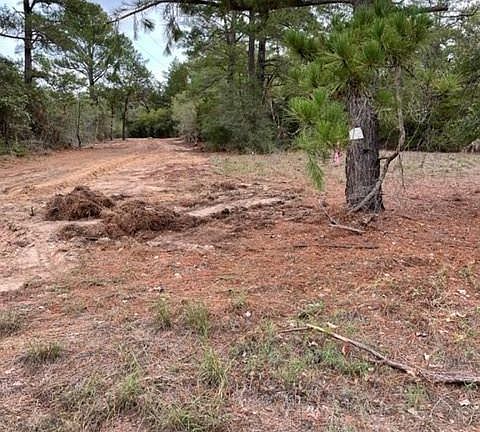 5th image of 614 Pine Canyon Dr