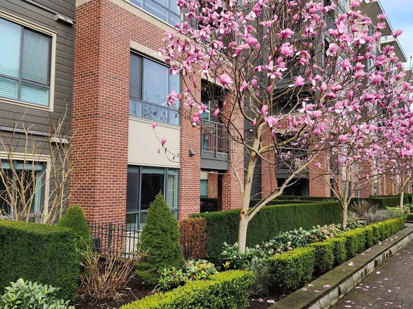 33540 Mayfair Ave #102, Abbotsford, BC V2S 0J3